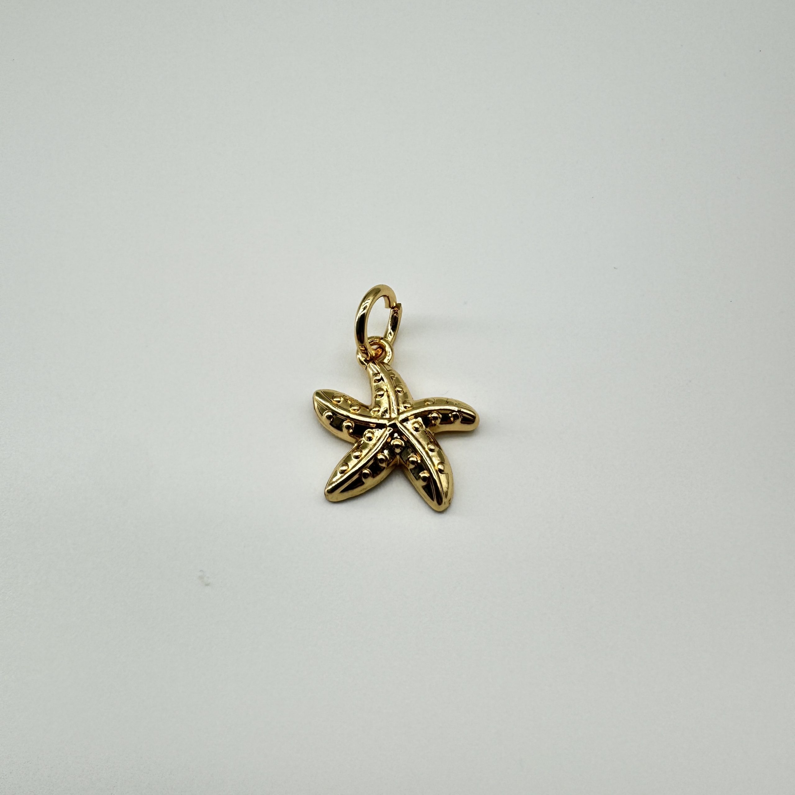 T26344 Alloy Starfish Charm