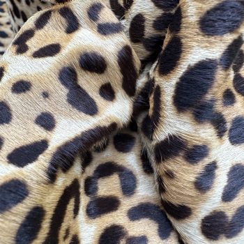 T26502 Large Leopard Print Hair-On Cowhide Leather