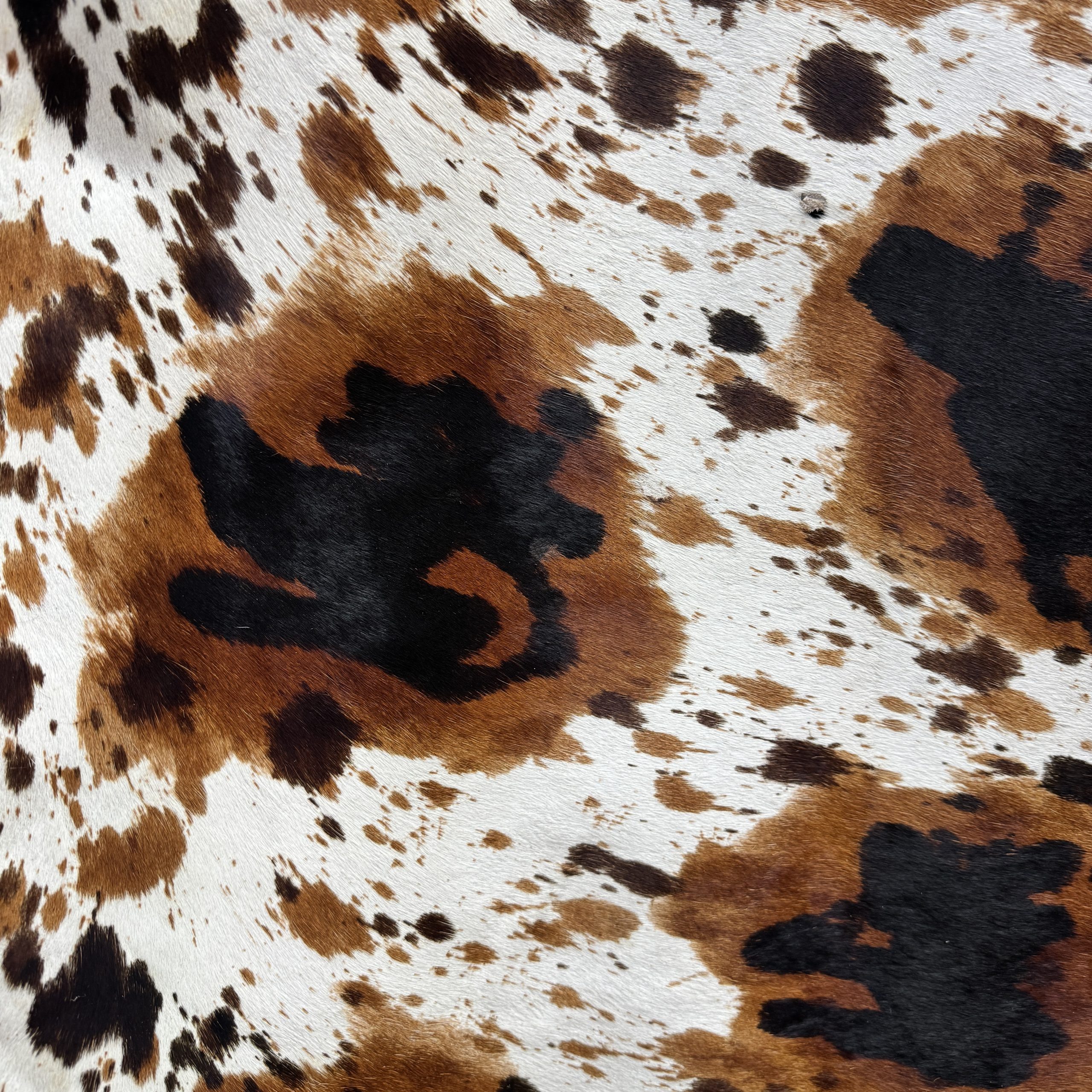 T26507 Tricolor Cow Print Hair-On Cowhide Leather - Image 2
