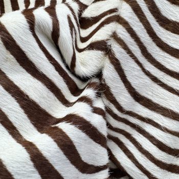 T26526 Zebra Print Hair-On Cowhide