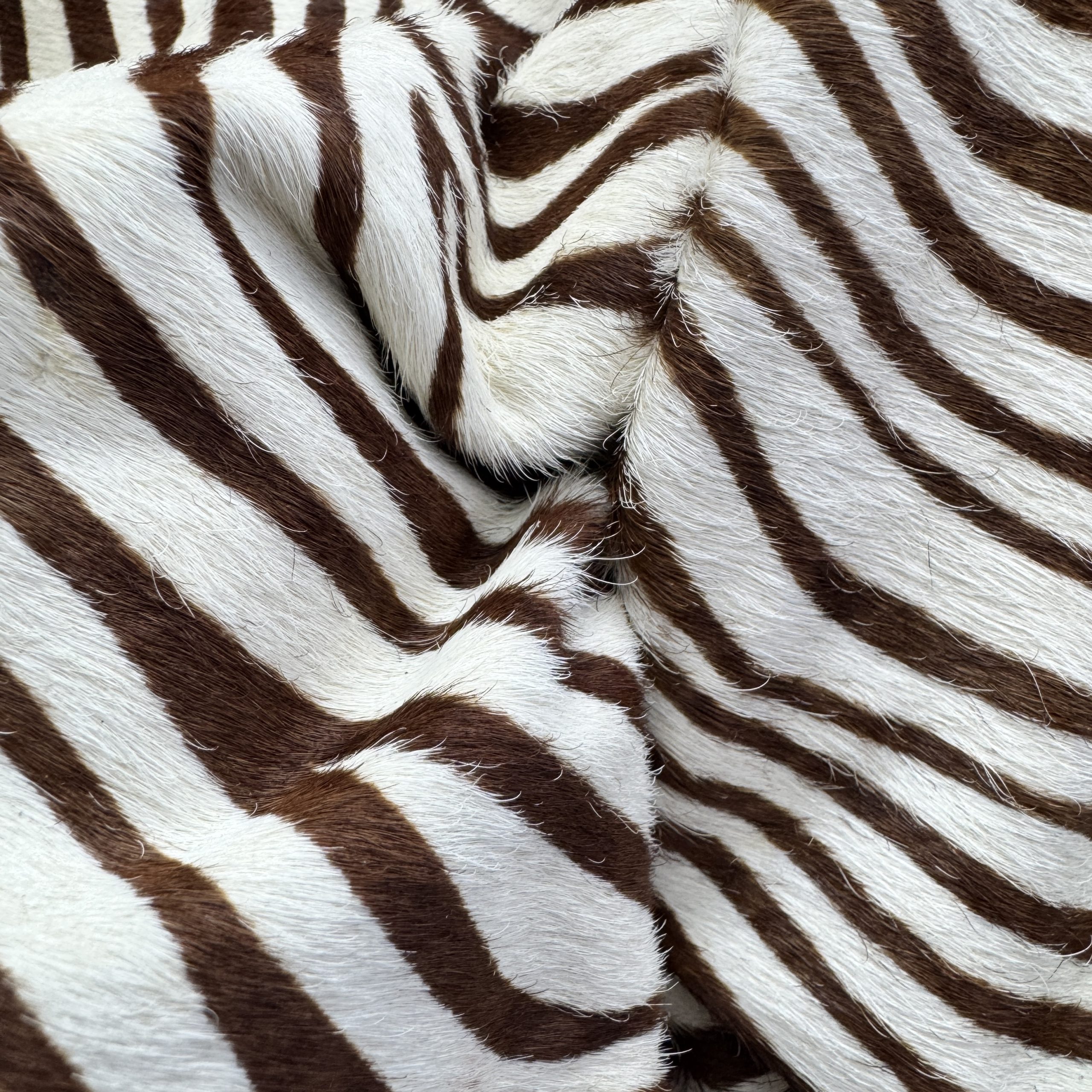 T26526 Zebra Print Hair-On Cowhide