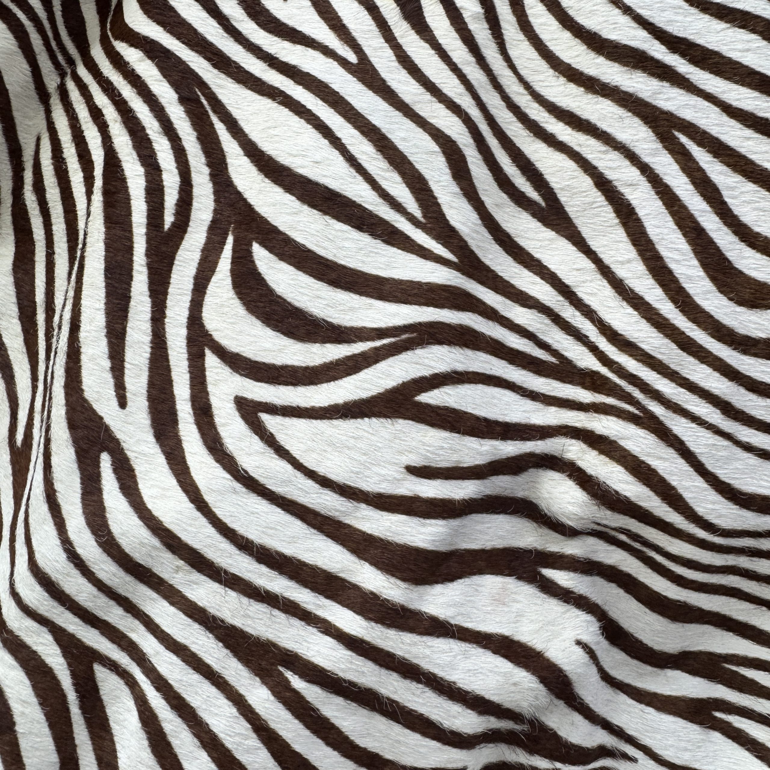 T26526 Zebra Print Hair-On Cowhide - immagine 2