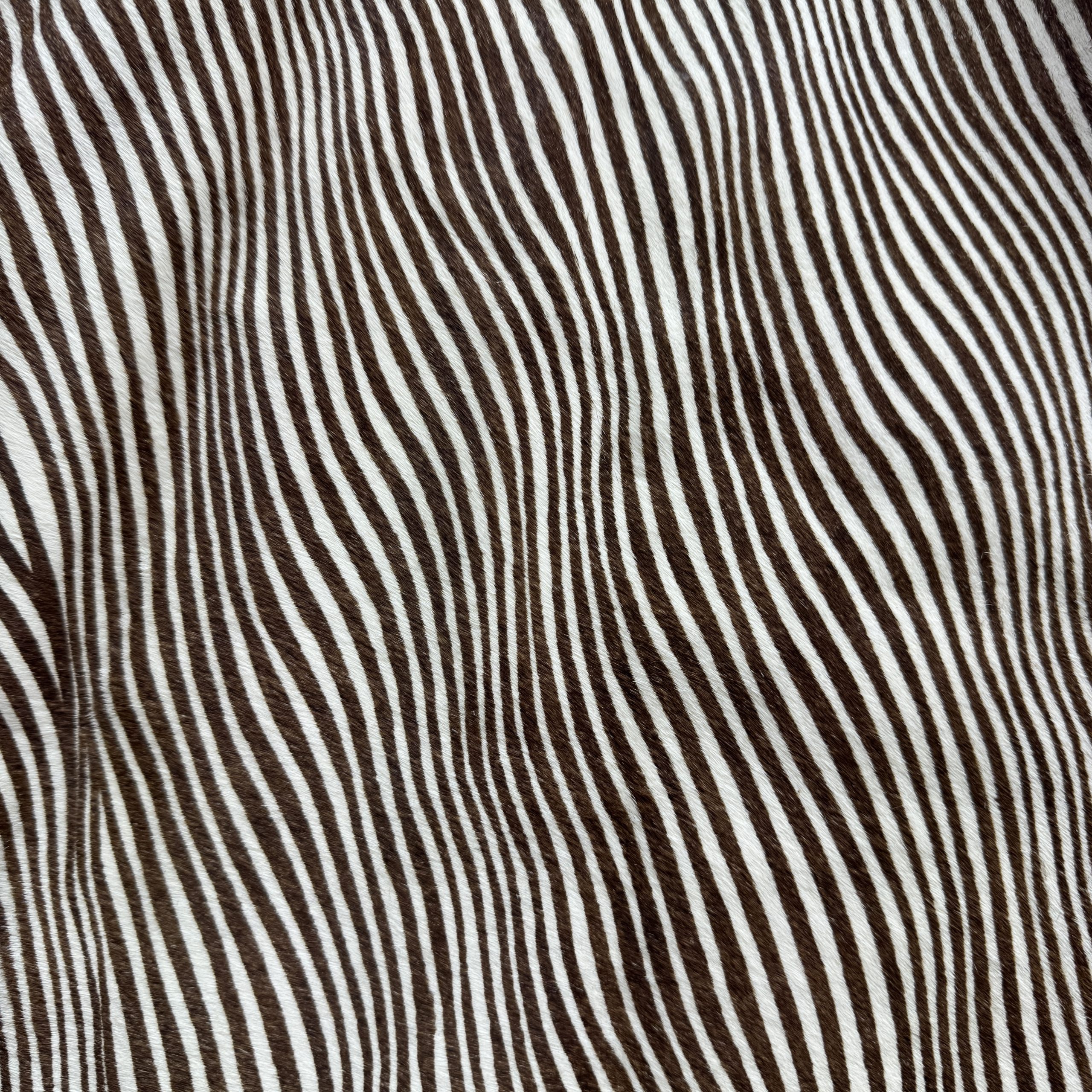 T26527 Fine Stripe Hair-On Cowhide - immagine 2