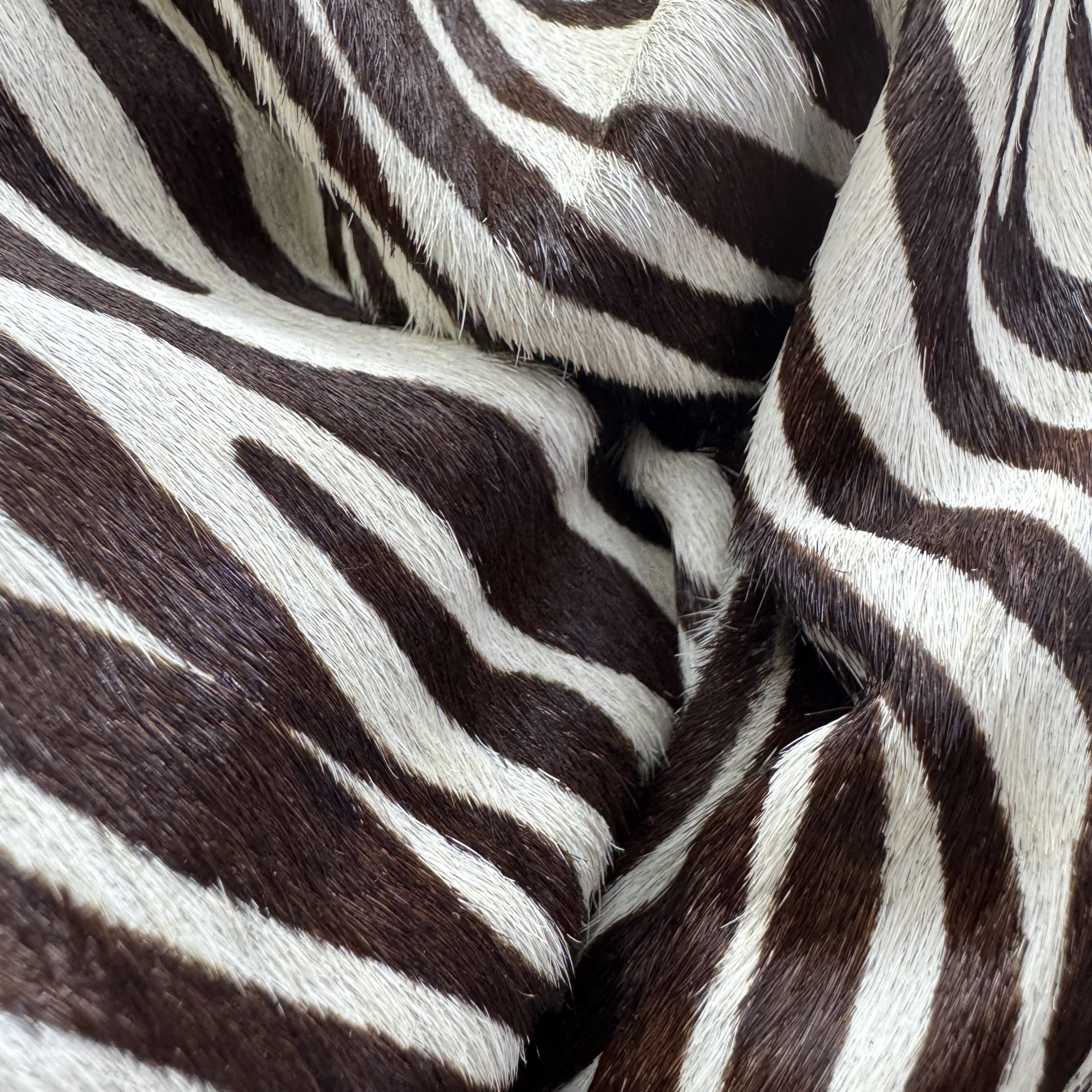 T26528 Brown Zebra Print Cowhide Fur