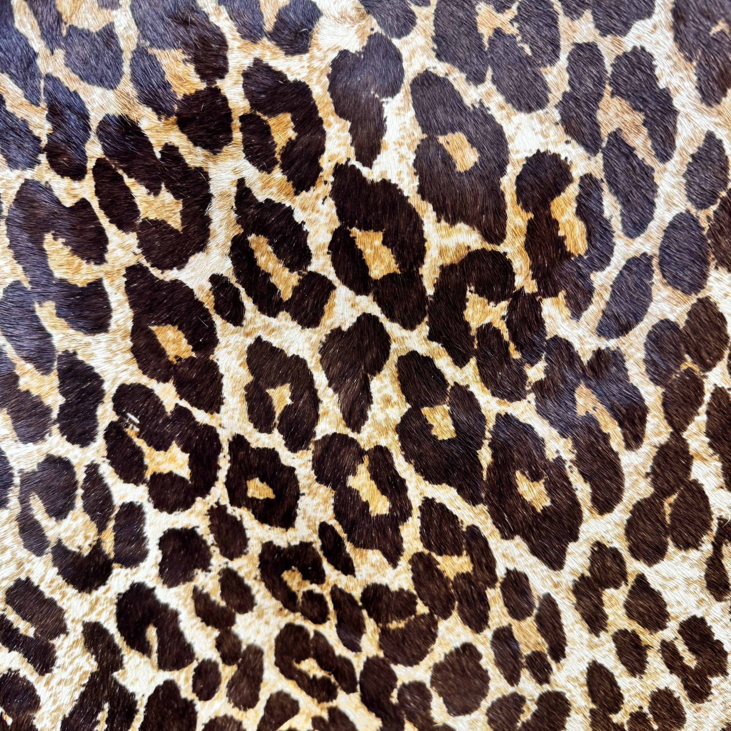 T26531 Large Leopard Print Fur Cowhide - Image 2